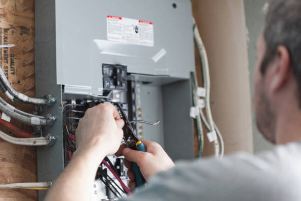 Best Electrical Panel Upgrades  in Lambertville, MI